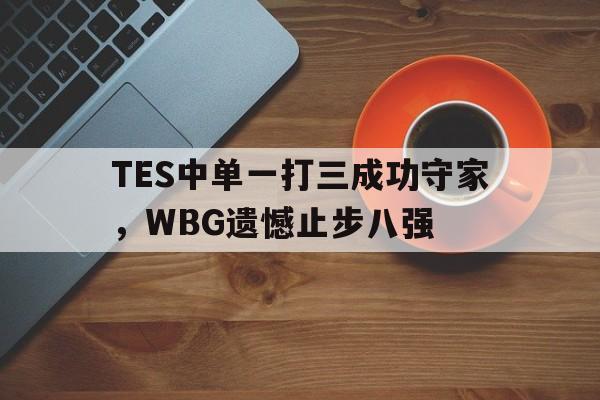 乐动在线平台-TES中单一打三成功守家，WBG遗憾止步八强